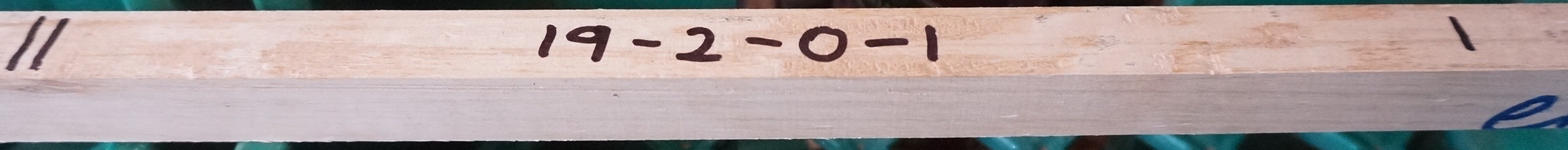 19-2-O-1-1