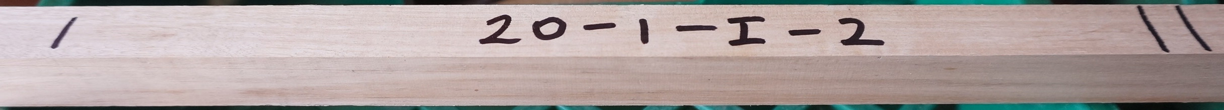 20-1-I-2-1